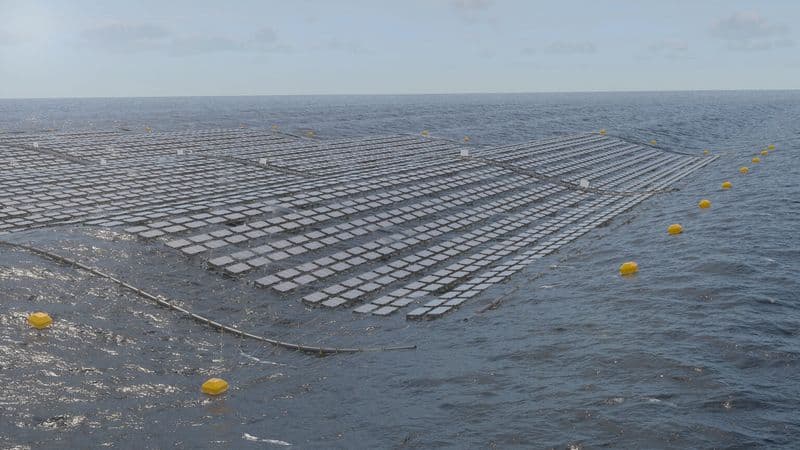 DNV assessment clears Fred. Olsen 1848’s floating solar system for rougher conditions