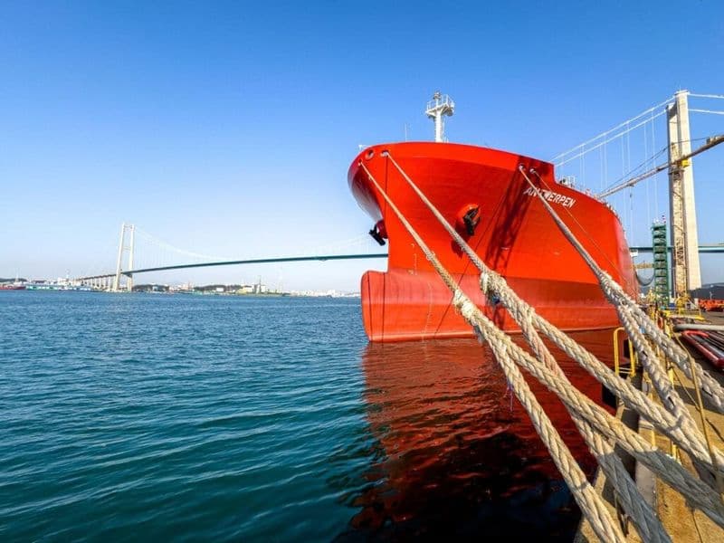 IMO approves new safety guidelines for ammonia-fueled ships